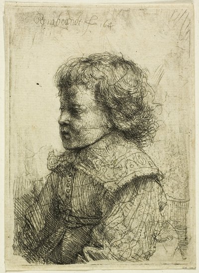 Porträt eines Jungen von Rembrandt van Rijn