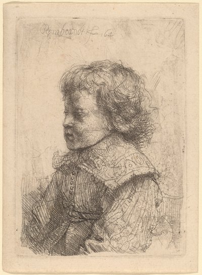 Porträt eines Jungen im Profil von Rembrandt van Rijn
