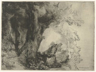 Der heilige Franziskus betet unter einem Baum von Rembrandt van Rijn