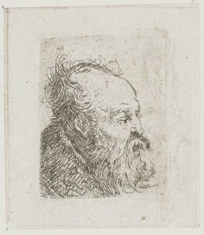 Blatt mit Studien von Männerköpfen: alter bärtiger Mann fast im Profil nach rechts: Mund halb geöffnet von Rembrandt van Rijn