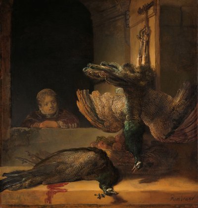 Stillleben mit Pfauen von Rembrandt van Rijn