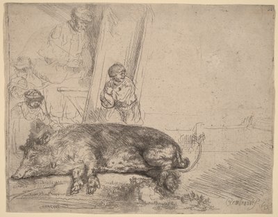 Das Schwein von Rembrandt van Rijn