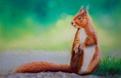 Eichhörnchen von Renate Dohr