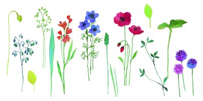 Bunte Aquarellblüten von Renate Holzner