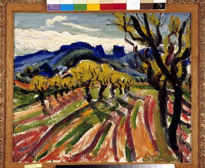 Olivenhain in den Alpilles von Rene Auguste Seyssaud