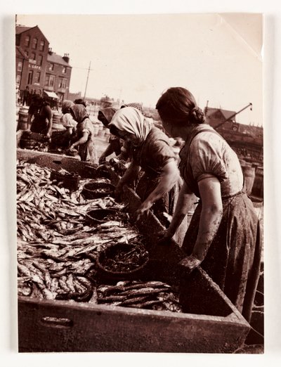 Fischen, Fischerfrauen sortieren Fisch, Whitby Harbour, North Yorkshire, ca. 1905 von John Pardon