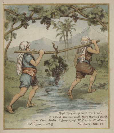 Eine Traube aus Eshkol von Richard Andre