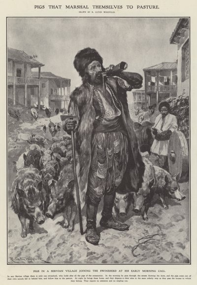 Schweine, die sich zur Weide marschieren (Lithografie) von Richard Caton II (after) Woodville