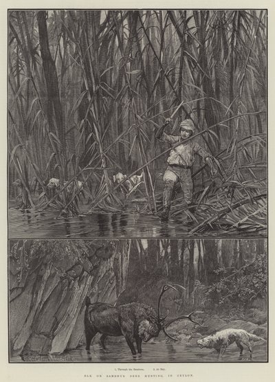 Elch- oder Sambhur-Hirschjagd in Ceylon von Richard Caton Woodville junior
