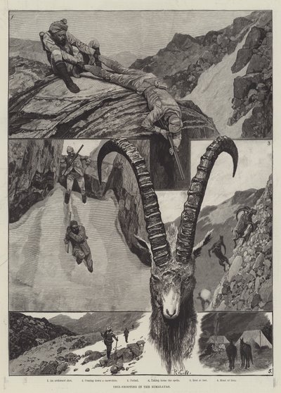 Steinbockjagd im Himalaya von Richard Caton Woodville junior
