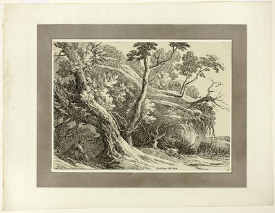 Landschaft mit großen Bäumen, aus der ersten Ausgabe von Specimens of Polyautography von Richard Cooper II