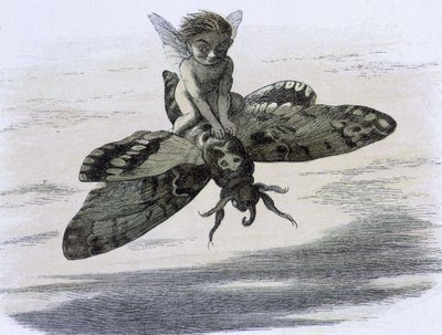 Ein Elf, der auf einem Schmetterling reitet. Illustration von Richard Doyle aus "In Fairy land. Eine Serie von Bildern aus der Elfenwelt" begleitet von einem Gedicht von W Allingham. 1869-1870. The British Library Institution Reference: Shelfmark ID: 1876  von Richard Doyle