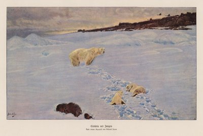 Eisbär und Junge (Farblithografie) von Richard Friese