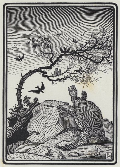 Die Schildkröte und die Vögel (Stich) von Richard Heighway