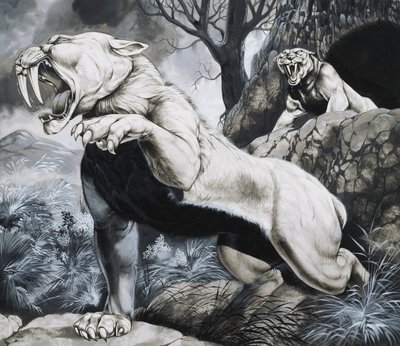 Säbelzahn-Tiger von Richard Hook