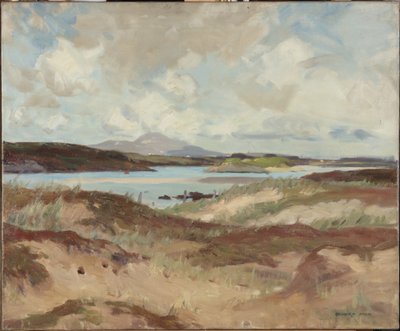 Anglesey von Richard Jack