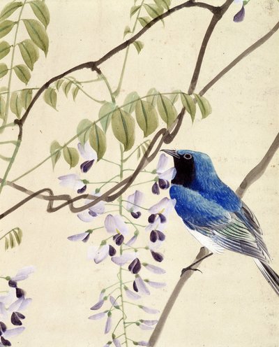 Vogel - Japanische Zeichnung von Riou Chim, späte 19. Jahrhundert von Riu Chim
