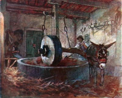 Toskanische Ölpresse von Robert Charles Goff