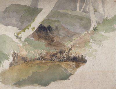 Waldteich von Robert Hills