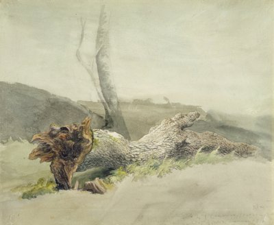 Der gefallene Baum, c.1804 von Robert Hills