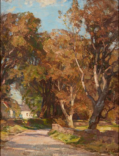 Straßenrand in der Nähe von Colvend Manse, Dalbeattie von Robert Hope