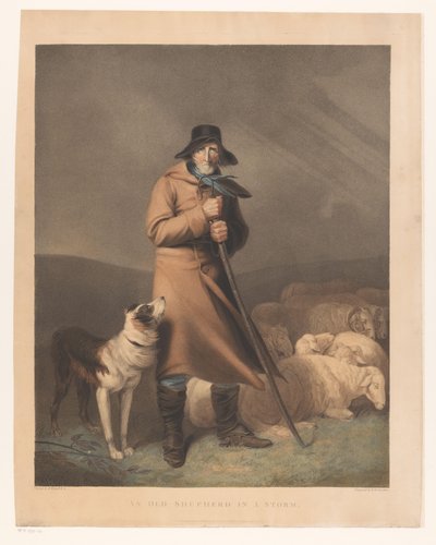 Hirte mit seinem Hund und Schafen von Robert Mitchell Meadows