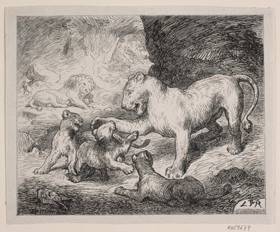 Löwenjunge. Illustration zu Chr. Winthers "Bilderbuch für Große und Kleine" von Robert Neergaard