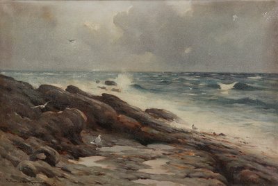 Felsige Küste von Robert Russell MacNee