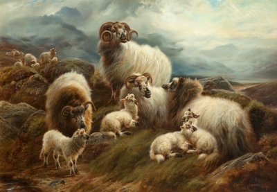 Schafe in einer Landschaft, 1894 von Robert Watson