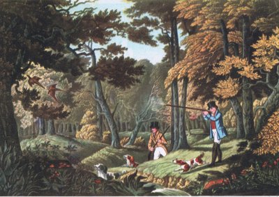 Fasanenjagd bei Uxbridge, Natur in Großbritannien, veröffentlicht von Collins, 1946 von Robert the Elder Havell