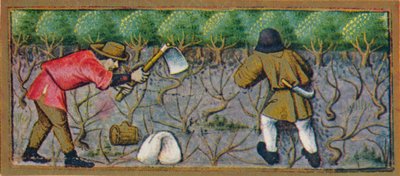März - Arbeit im Weinberg, 15. Jahrhundert, 1939 von Robinet Testard