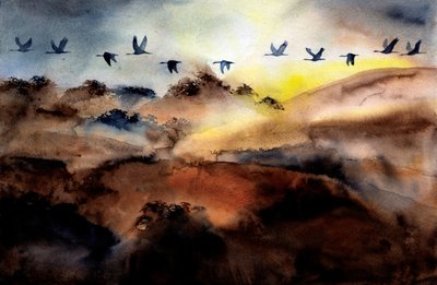 Vögel fliegen über Hügel von RodMacIver