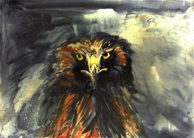 Heftiger Adlerblick von RodMacIver