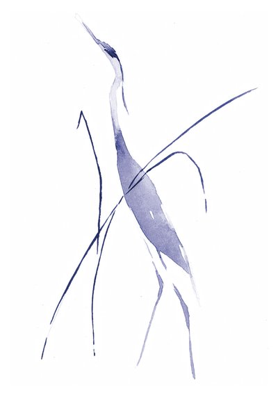 Anmutiger blauer Reiher von RodMacIver