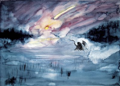 Reiher fliegt im Kometenhimmel von RodMacIver