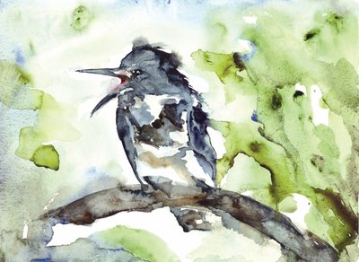 Singender Vogel Aquarell von RodMacIver