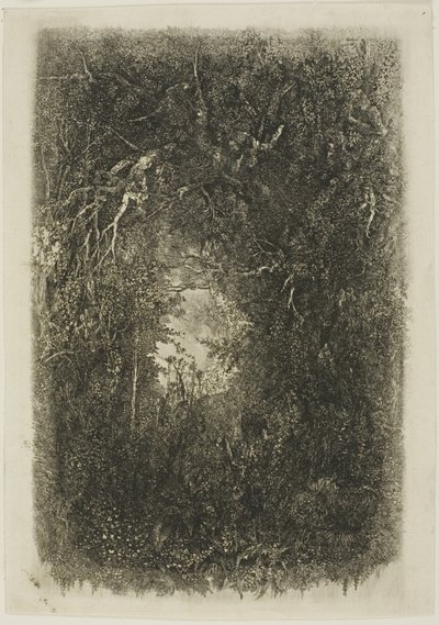 Lichtung im Wald von Rodolphe Bresdin