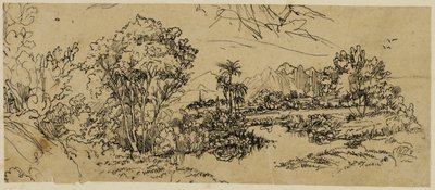 Landschaft an der Westküste von Rodolphe Bresdin