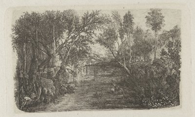 Landschaft mit Bach und Bäumen an den Ufern von Rodolphe Bresdin
