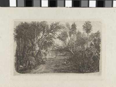 Landschaft mit Bach und Bäumen an den Ufern von Rodolphe Bresdin