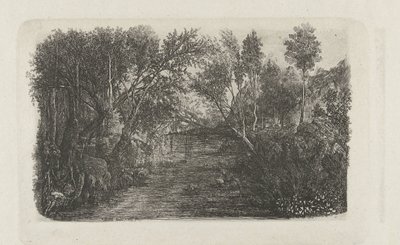 Landschaft mit Bach und Bäumen an den Ufern von Rodolphe Bresdin