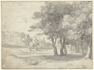 Ansicht im Haagse Bos, mit der Grote Kerk, Den Haag, in der Ferne von Roelant Roghman