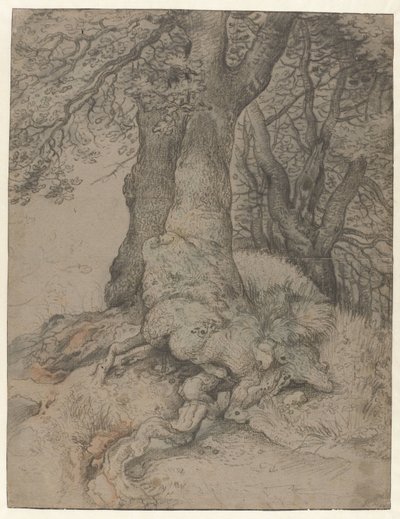 Studie von Baumstämmen und Wurzeln von Roelant Savery