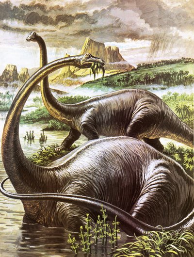 Diplodocus von Roger Payne