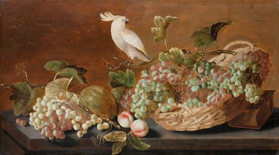Stillleben mit Papagei von Roloef Koets