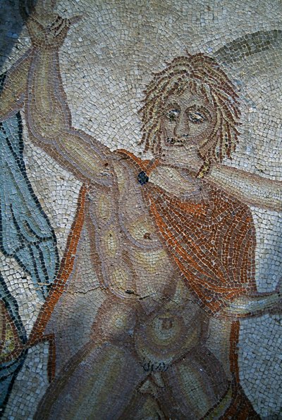 Entführung des Hylas durch Nymphen, Mosaik im Haus der Venus in der römischen Stadt Volubilis von Roman