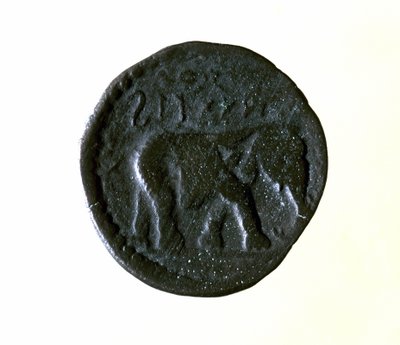 Karthagische Münze, die einen Elefanten darstellt. 3. oder 2. Jahrhundert v. Chr. von Roman