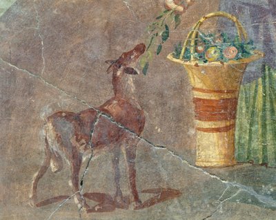 Ziege und Obstkorb von Roman