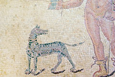Hippolytus und Phaedra, Detail von Hippolytus