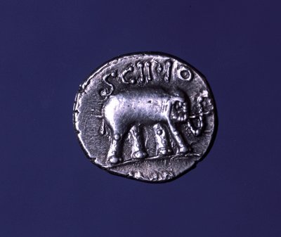 Silbermünze mit einem Elefanten, dem Fetisch-Tier der Scipionen. Lucius Caecilius Metellus eroberte die karthagischen Elefanten 251 v. Chr. 47-46 v. Chr. von Roman